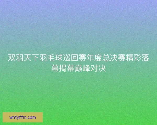 双羽天下羽毛球巡回赛年度总决赛精彩落幕揭幕巅峰对决